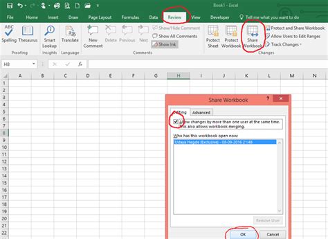 Excel Workbook Sharing 2