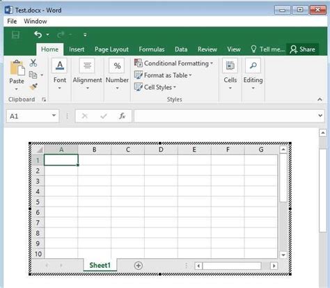 Excel Worksheet Word Document