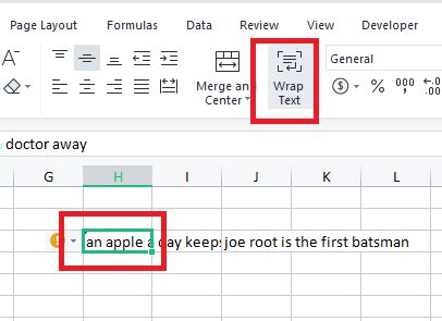 Excel Wrap Text Feature