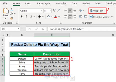 Excel Wrap Text Not Working