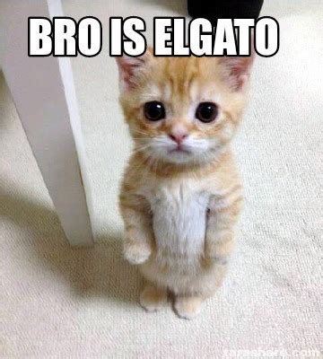 Excited El Gato Meme