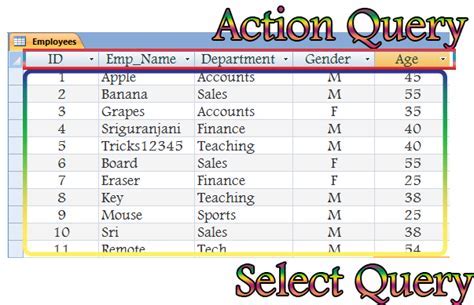 Executing Queries in Access VBA