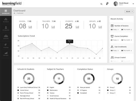 Executive Dashboard Wireframe Template