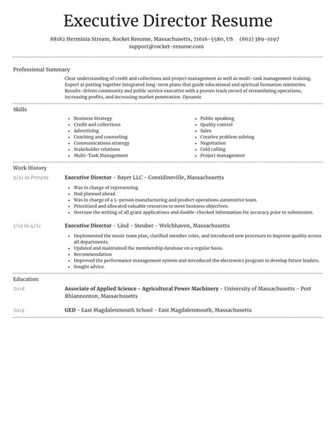 Executive Director Resume Template in Word