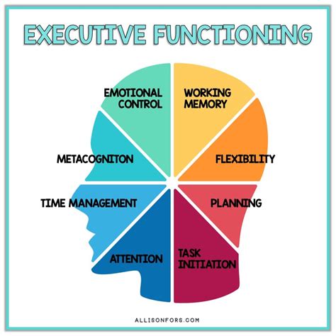 Executive Functioning Components