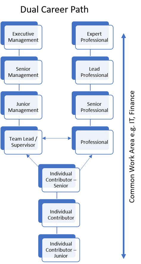 Executive Manager Career Path