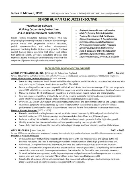 Executive Resume Example 4