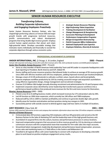 Executive Resume Example 9