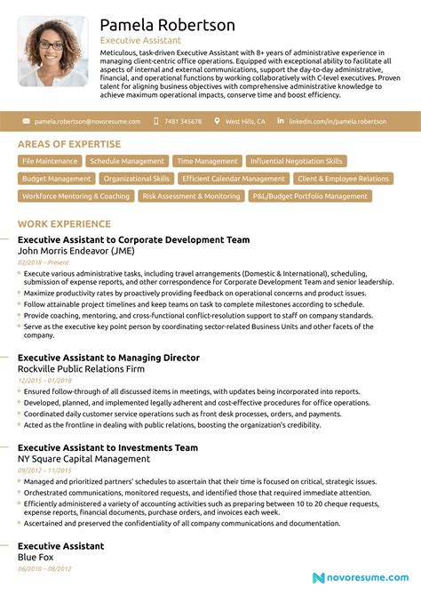 Executive Resume Template Example 5