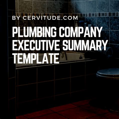 Executive Summary Plumbing Proposal