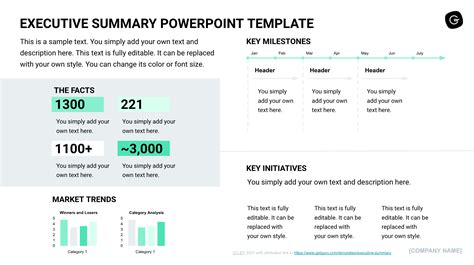 Executive Summary Template