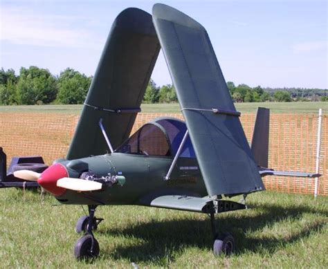 Experimental game bird aircraft in flight