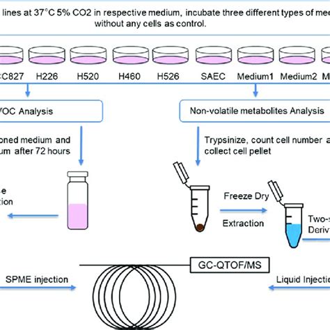 Experimental Operations