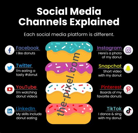 Explaining Social Media Platforms