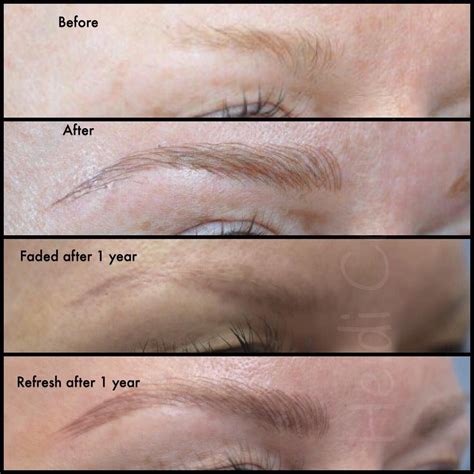 Eyebrow Tattoo Fade