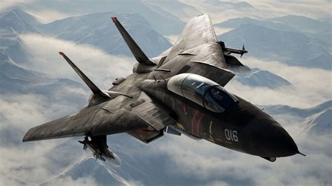 F-14 Combat