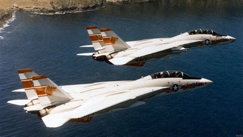 F-14 Tomcat VF-1 Wolfpack