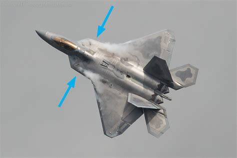 F-22 Raptor Top View 6