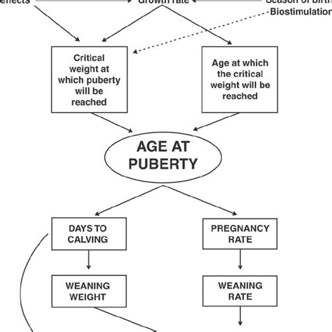 Factors Affecting Age Limits