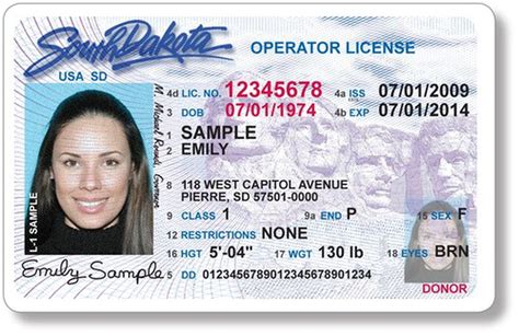 Fake Driver ID