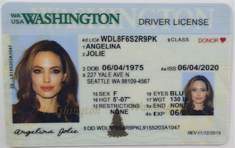 Fake Driver's License