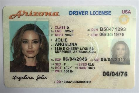 Fake Driving License 1