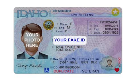 Fake ID Document