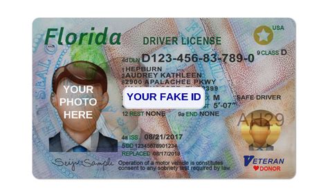 Example of a fake ID template design