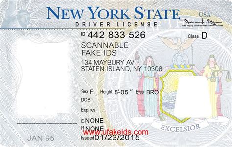 Example of a fake ID template design