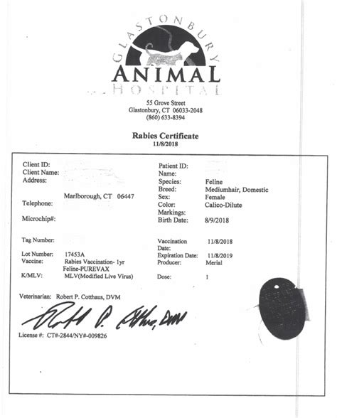 Fake Rabies Certificate Template Sample