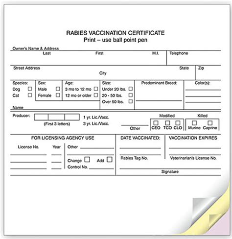 Fake Rabies Certificate Template Sample 5