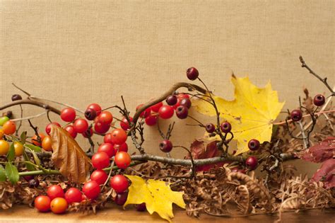 Fall berries and leaves border template