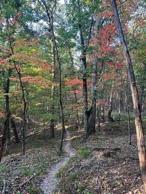 Fall colors changing