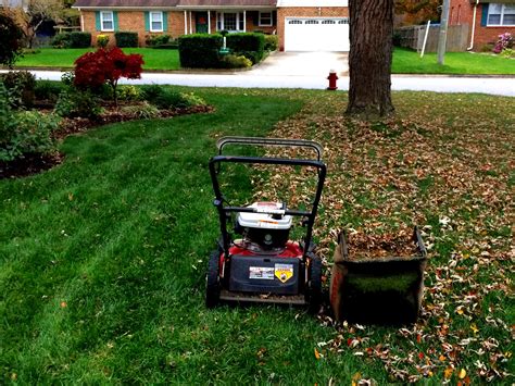 Fall Lawn Care