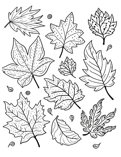 Fall Leaf Coloring Pages