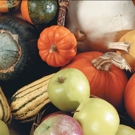 A variety of fall produce, including apples and squash