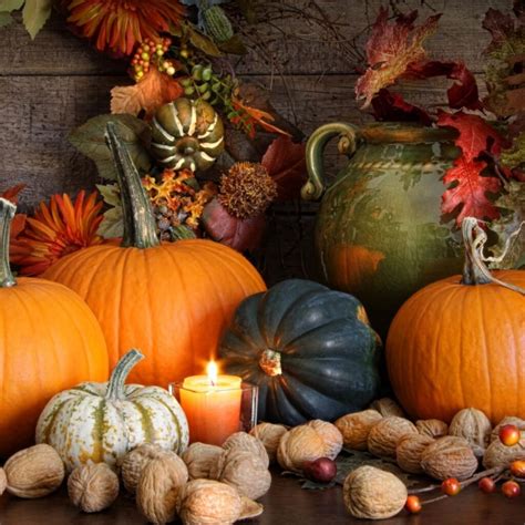 Fall pumpkins and gourds border template