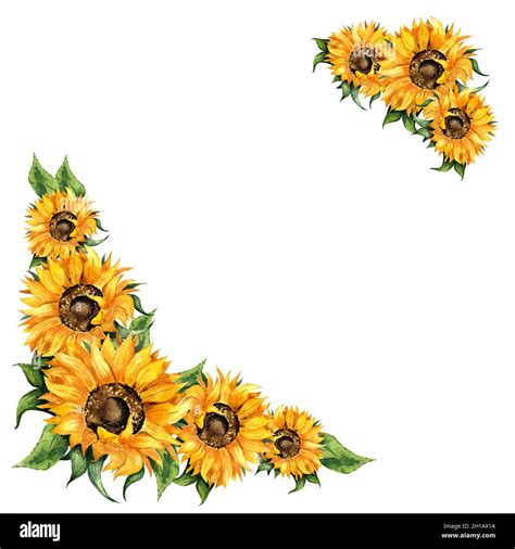 Fall sunflowers border template