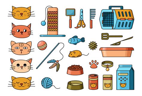 familiar objects for cats