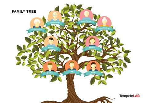 Family Tree Template Design