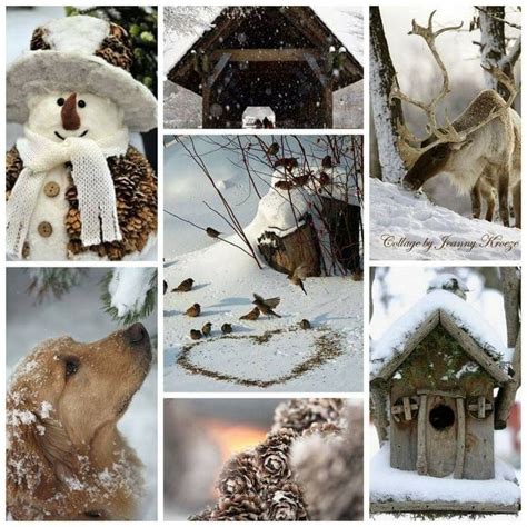 Family Winter Wonderland Collage