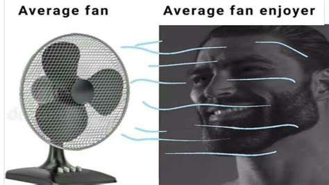 Illustration of a fan and an enjoyer with different levels of engagement