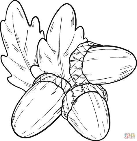 Fantasy acorn coloring page