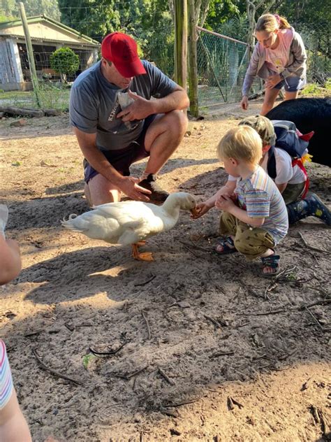 Farm Adventures in the Forest