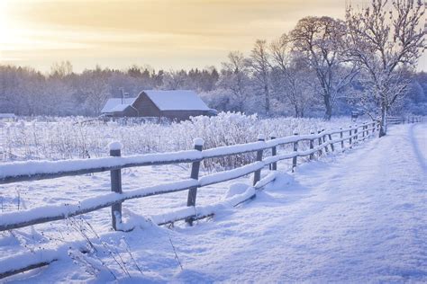 Farm Adventures in the Snow