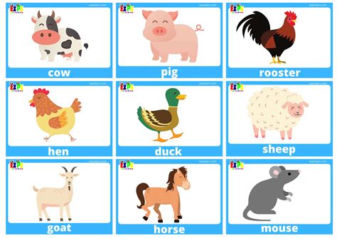 Farm Animal Flashcards