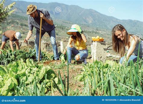 Farm Friends Working Together