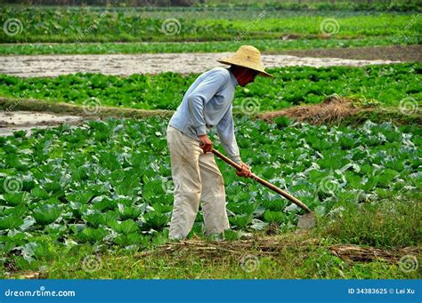 Farmer working in the fields