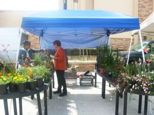 Fresh flowers at the El Cajon Harvest Market