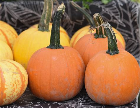 A farmers market display of pumpkins